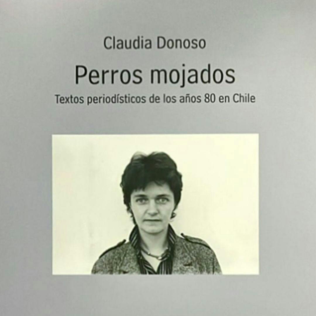 El libro Perros mojados