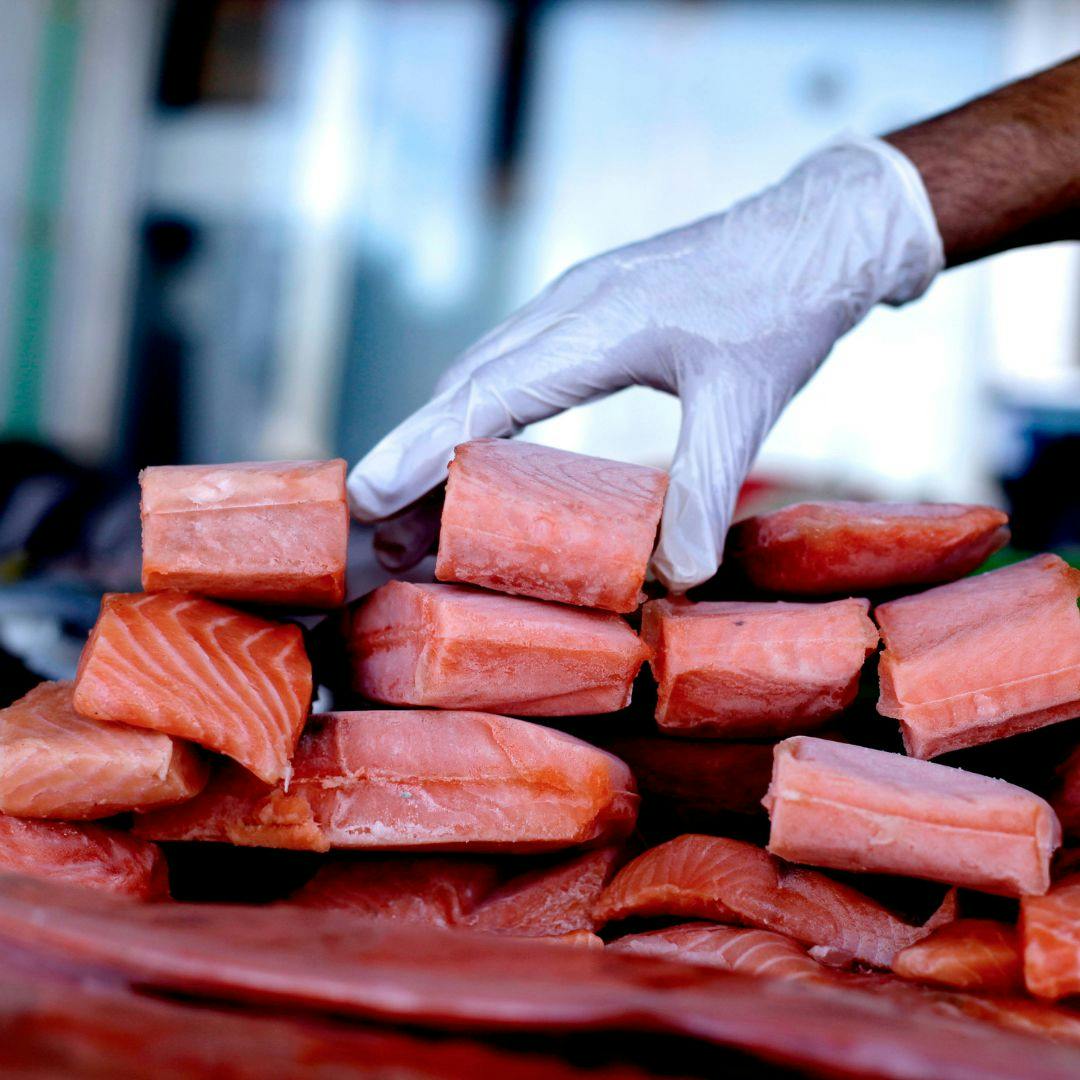 El artículo que advierte sobre el salmón chileno