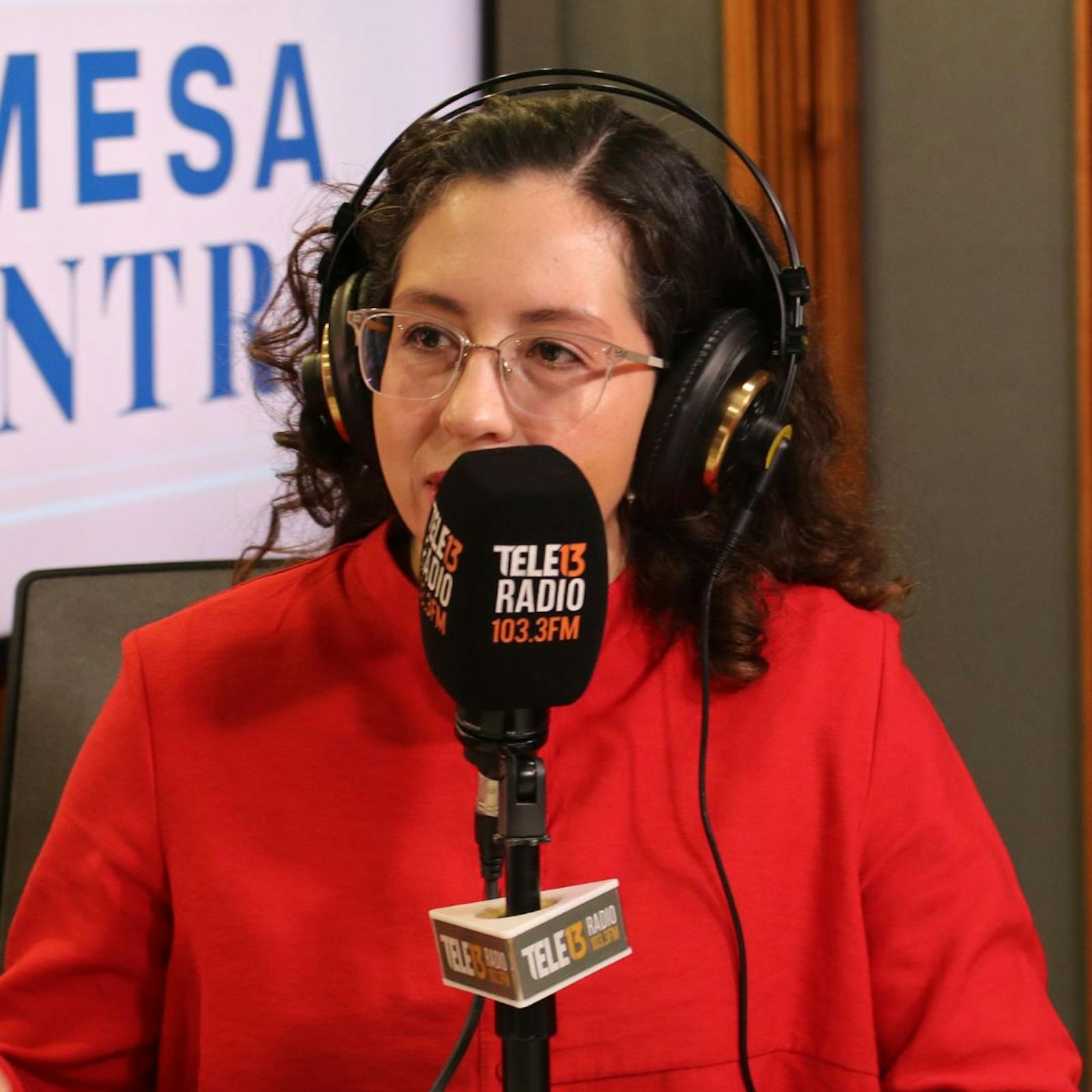 Diputada Yeomans (FA) por elecciones presidenciales: “Si es la Presidenta Bachelet la que nos representara, felices iremos a defender nuestras ideas en ese gobierno" episode artwork