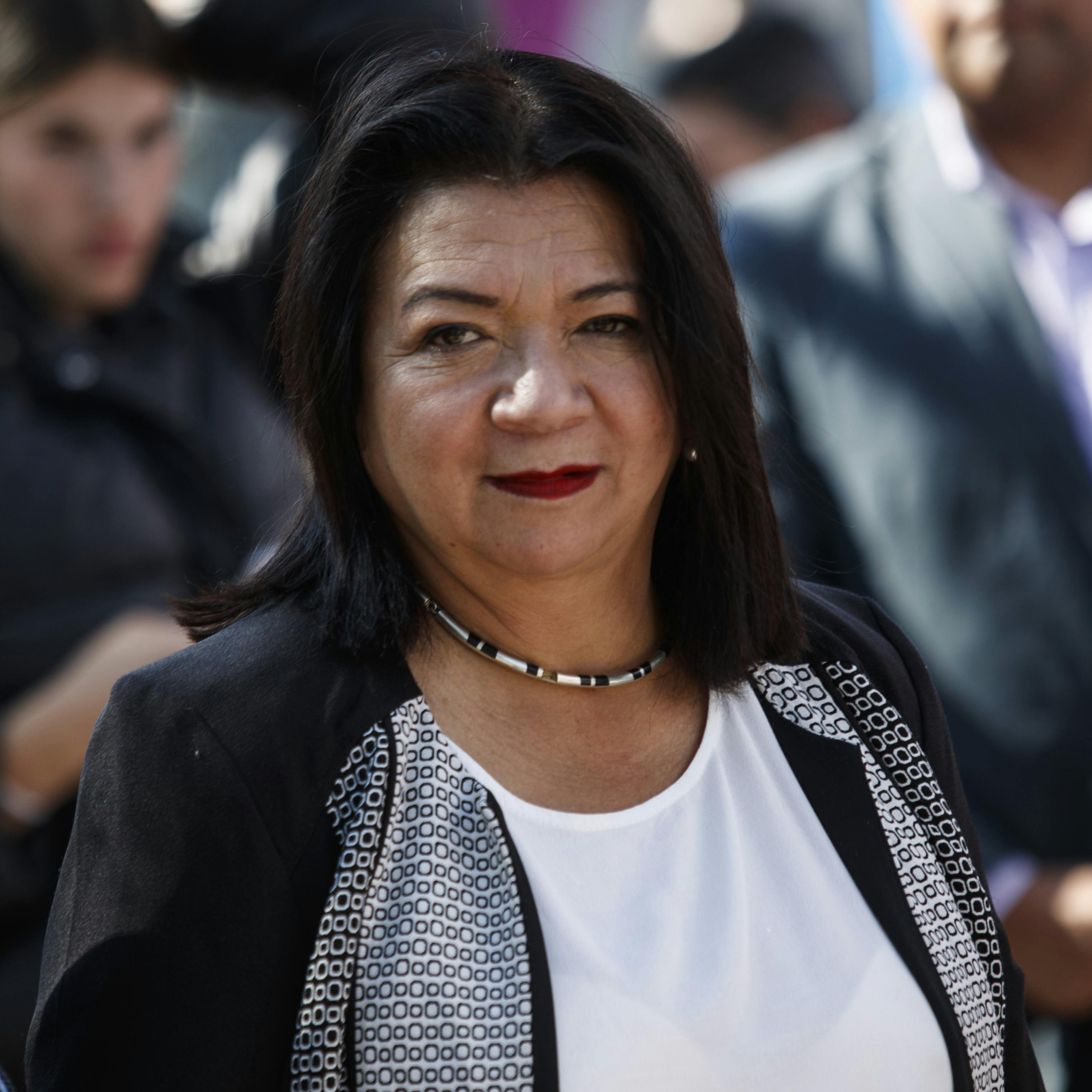 Alcaldesa de La Pintana critica al Plan Enjambre: ¿Es efectivo? Sí, pero un día a la semana no es suficiente