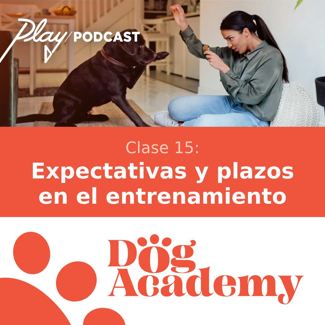 Clase 15: Expectativas y plazos en el entrenamiento