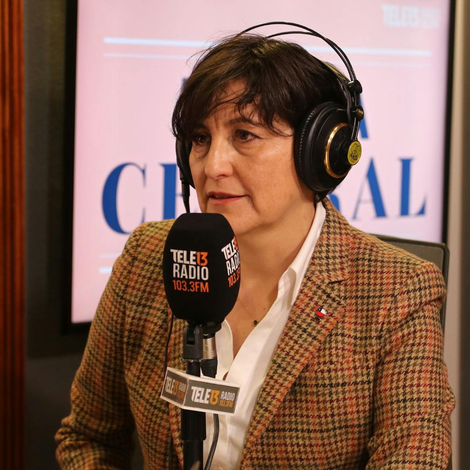 Ministra Aguilera por listas de espera: "Es la prioridad número uno del Ministerio (...) Es una situación estructural en el país que se agravó con la pandemia” episode artwork