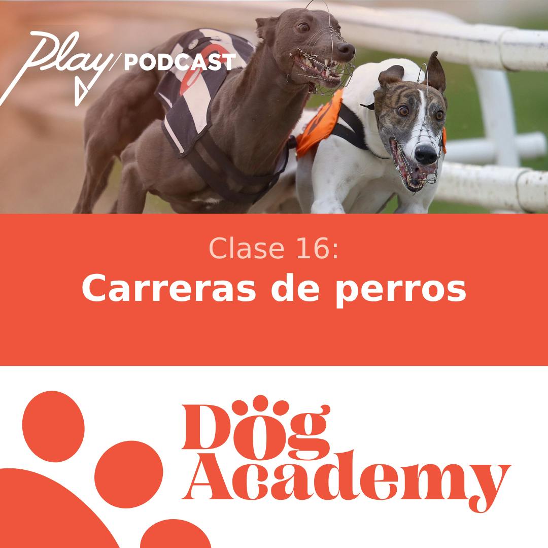Clase 16: Carreras de perros