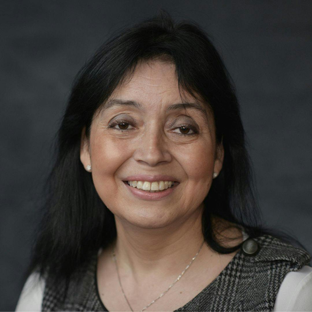 Directora de Escuela de Medicina UDP por caída en la tasa de natalidad en Chile: “No debiera asustarnos, no es una situación de alarma sino una situación novedosa”