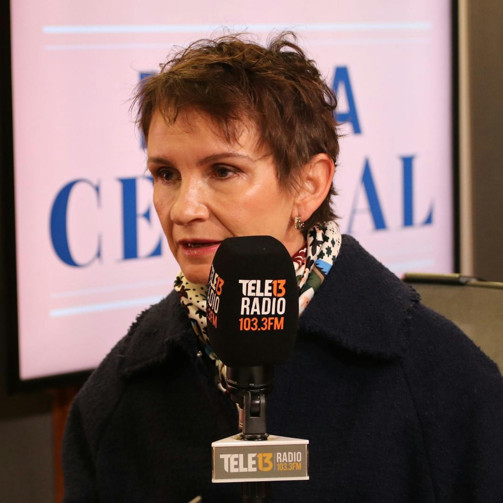 Ministra Tohá por Caso Ovalle: “Es muy discutible que no se haya considerado peligrosas a personas que manejan estas cantidades de droga, armamento y dinero” episode artwork