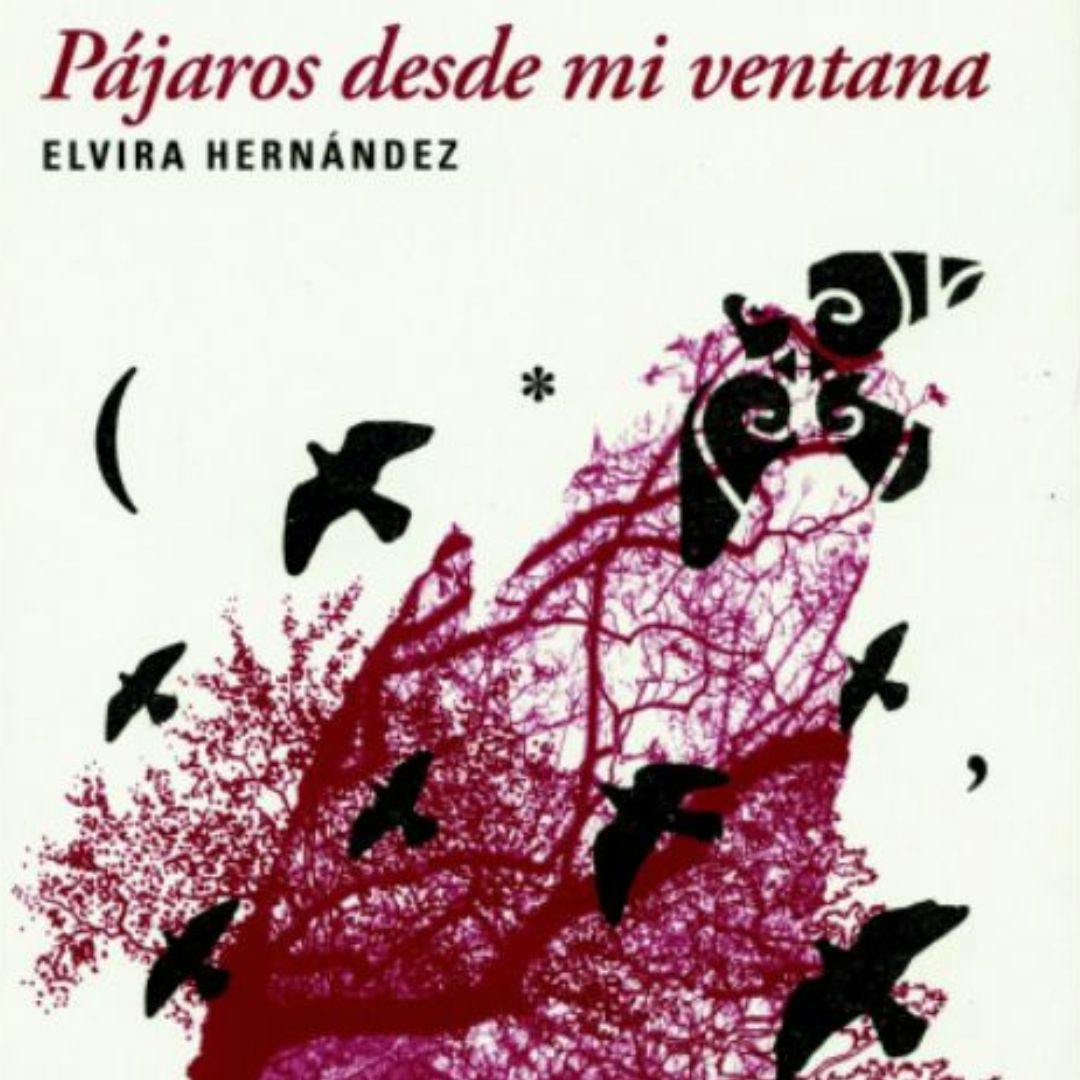 El libro “Pájaros desde mi ventana”