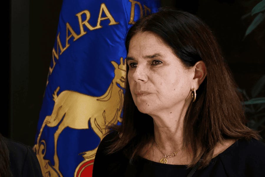 Entrevista | Diputada Ossandón y efecto del Caso Audios en las elecciones: “Un daño va a existir. Espero que Chadwick salga y diga cuál es la relación con Hermosilla”