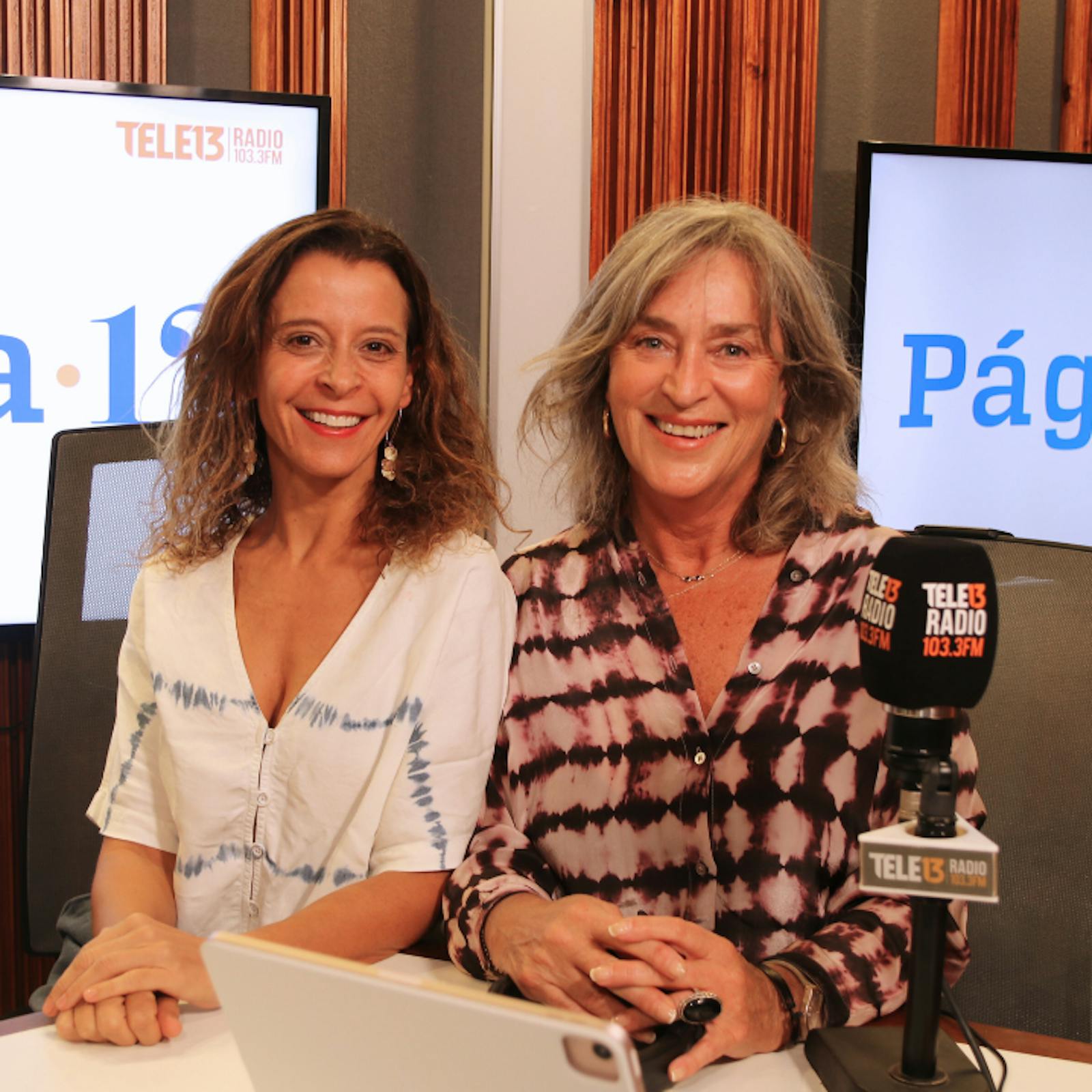 Vial y Comandari por las inhabilidades por conflicto de interés y la Ley Karin a dos meses de su implementación