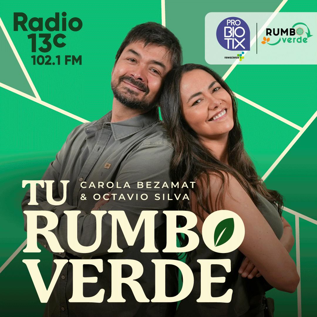 Música para conectar con el cuerpo | Iván Grimau, Directo académico de Epti Chile y Profesor de danza primal 