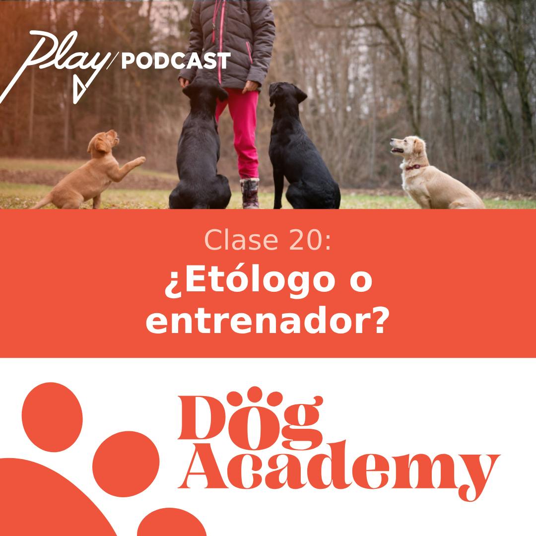Clase 20: ¿Etólogo o entrenador?
