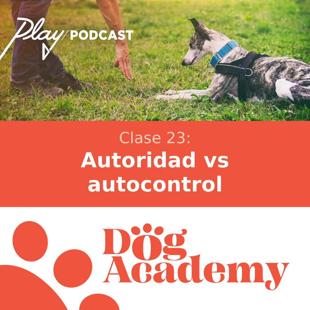 Clase 23: Autoridad vs autocontrol