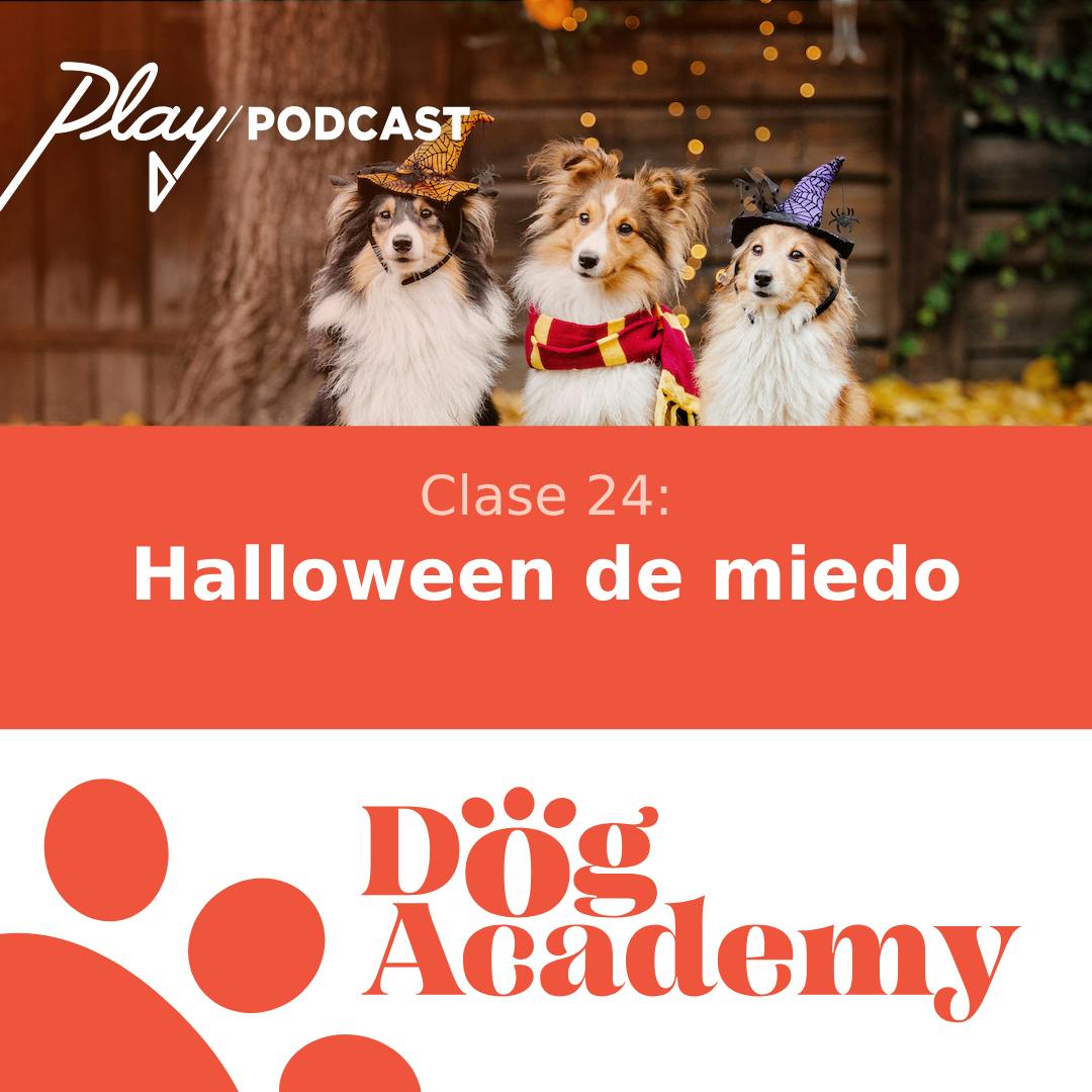 Clase 24: Halloween de miedo