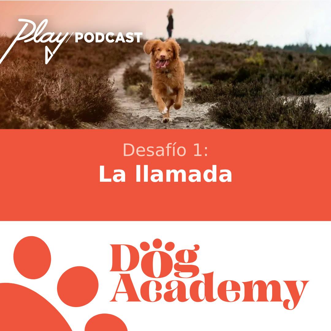 Desafío 1: La llamada