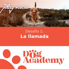 Desafío 1: La llamada