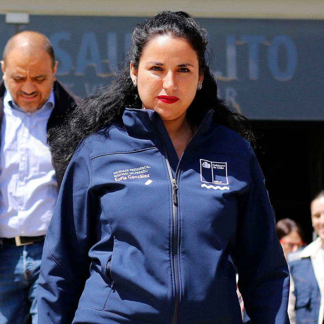 Delegada presidencial de Valparaíso por incendios forestales: “Llegamos a tener 11 focos de manera simultánea”