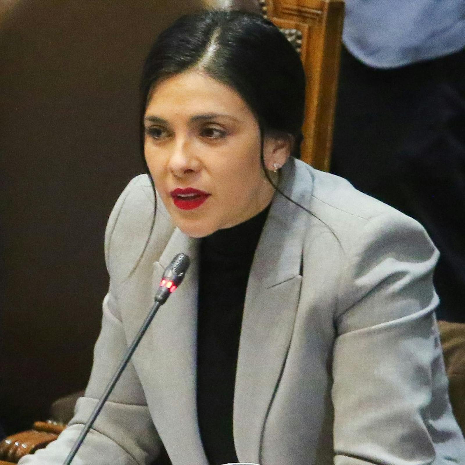 Diputada Cariola por Ley de Presupuesto 2025: “Las personas no distinguen entre el debate de la inadmisibilidad y el debate del fondo” episode artwork