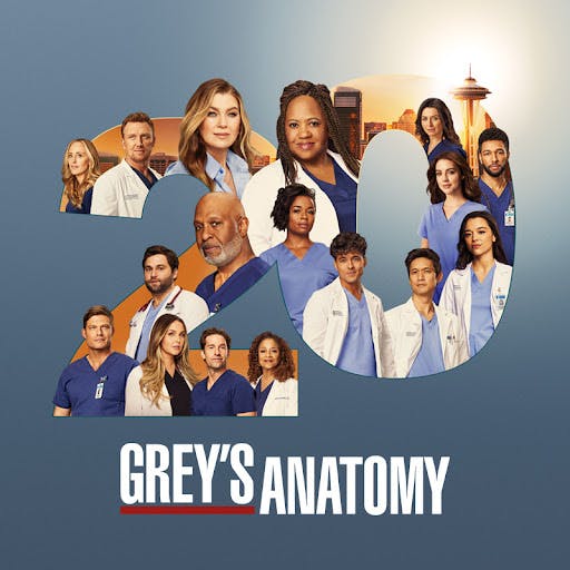 La serie Grey's Anatomy