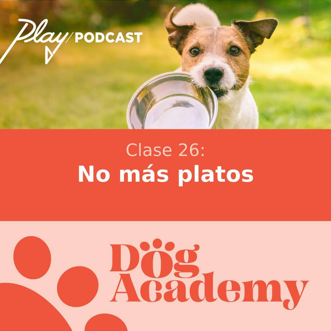 Clase 26: No más platos