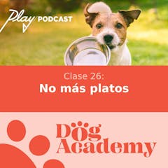 Clase 26: No más platos