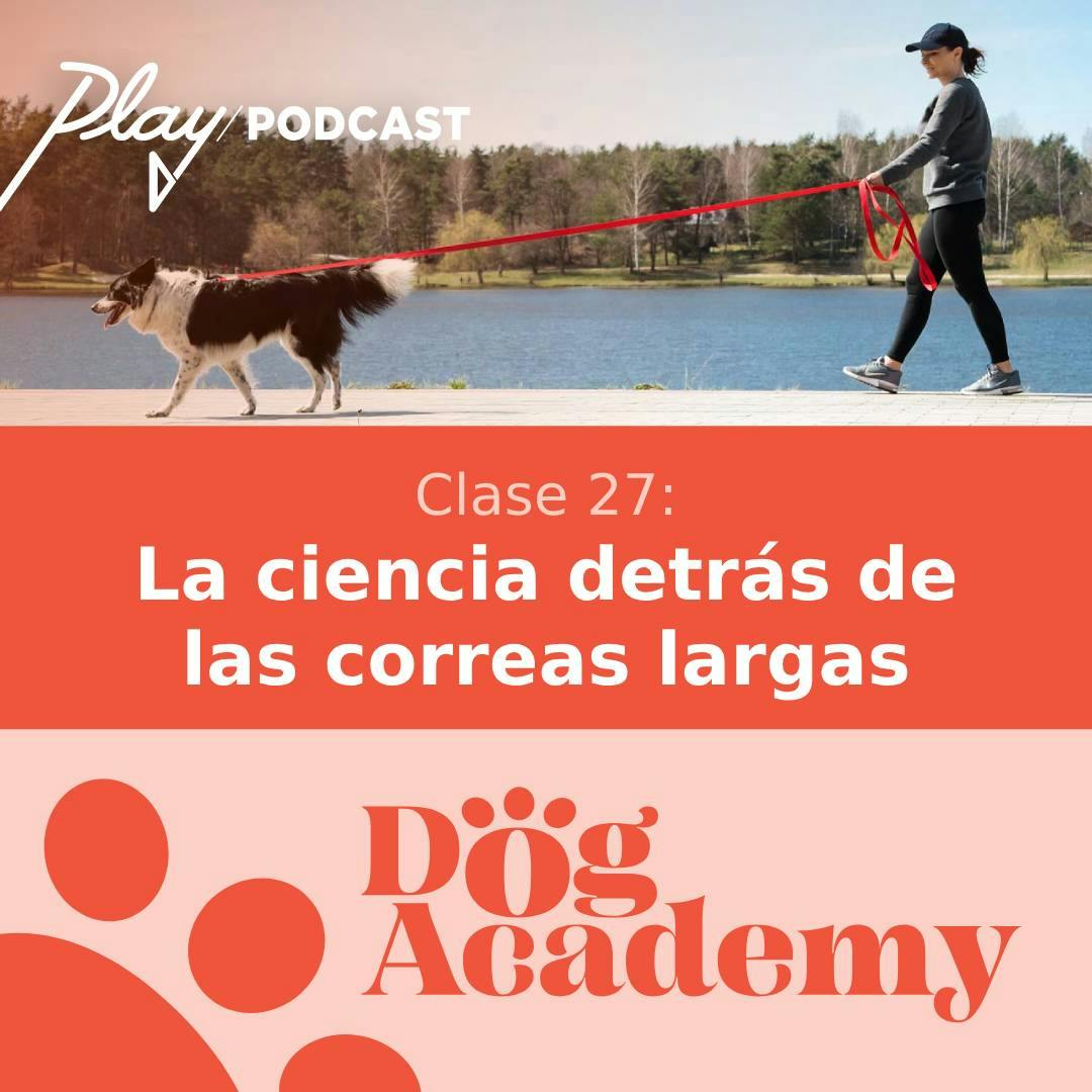Clase 27: La ciencia detrás de las correas larga