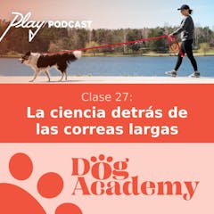 Clase 27: La ciencia detrás de las correas larga