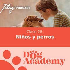 Clase 28: Niños y perros
