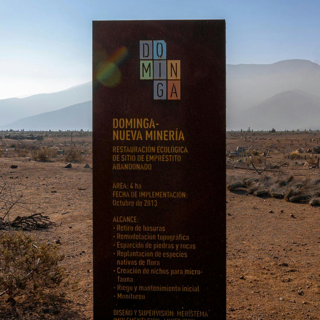 El fallo que revive al polémico proyecto minero Dominga
