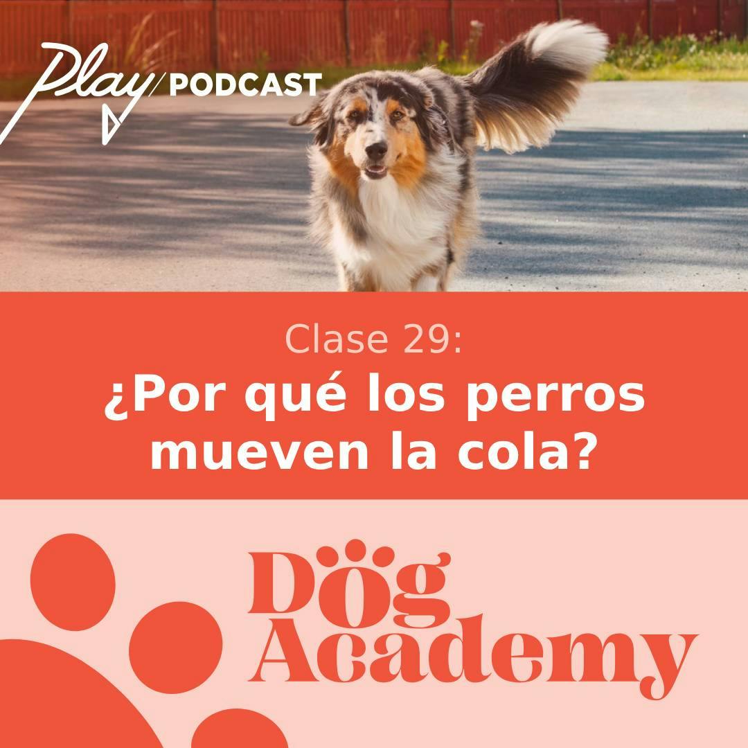 Clase 29: ¿Por qué los perros mueven la cola?