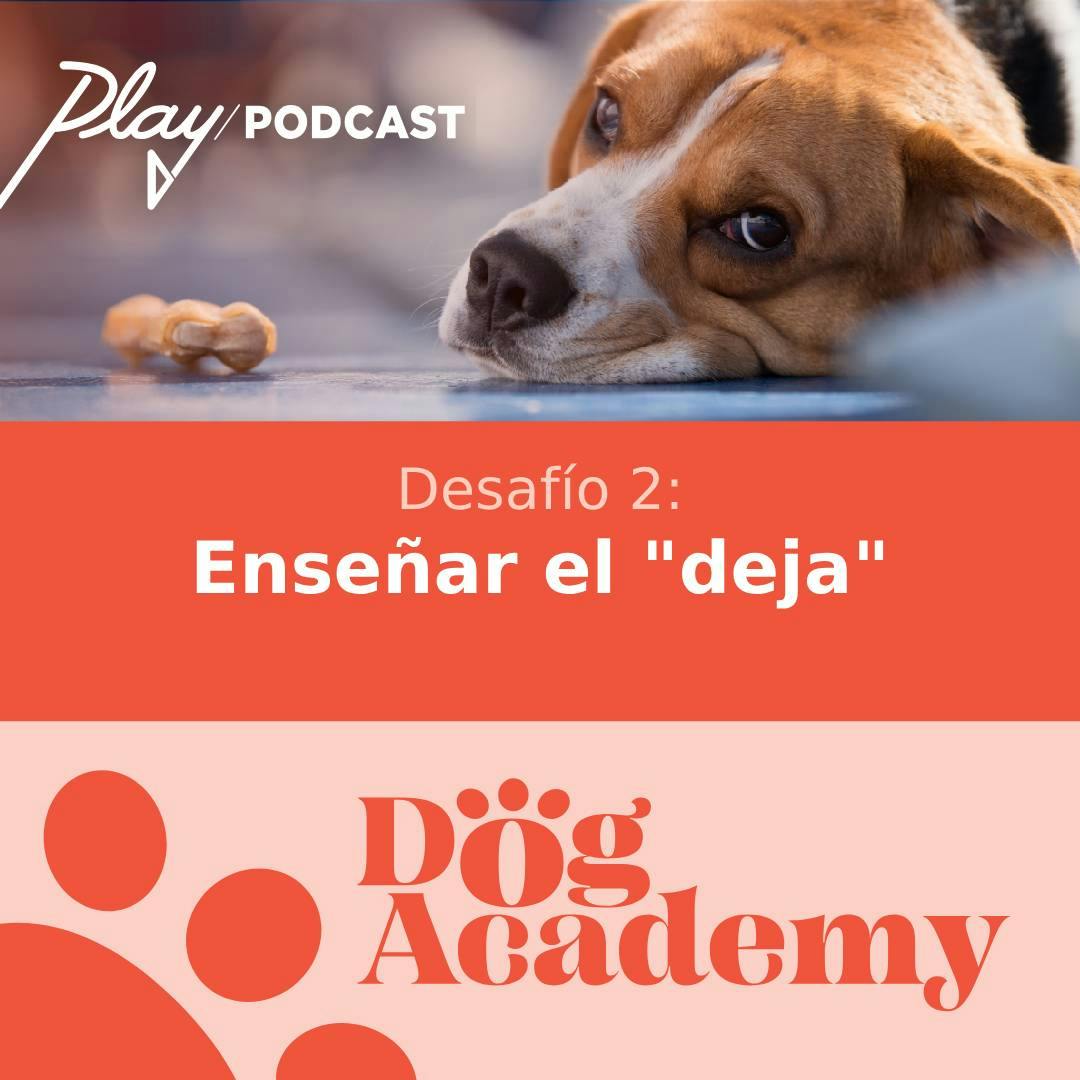 Desafío 2: Enseñar el deja