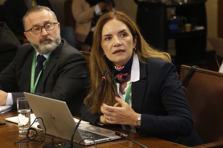 Directora de Senapred: El panorama de los incendios forestales ha sido una amenaza que se ha ido incrementando.