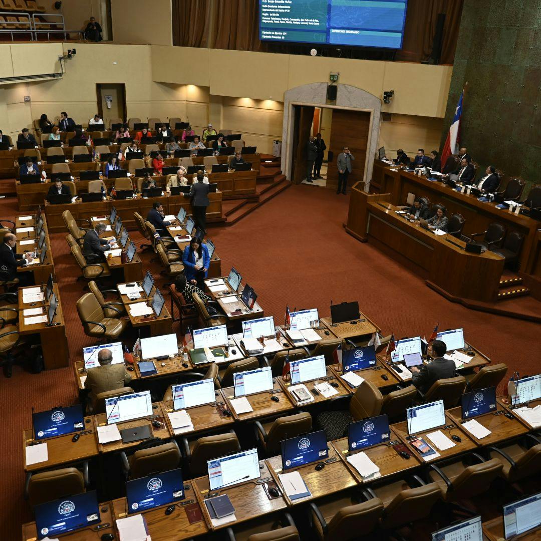 Una radiografía al Congreso