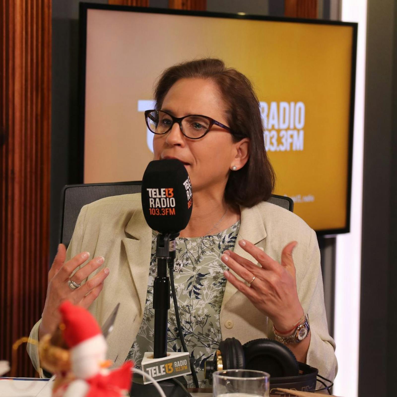 Subsecretaria de Prevención del Delito por caso Monsalve: “Preferí que se hiciera un sumario para dejar absolutamente claras las responsabilidades” episode artwork