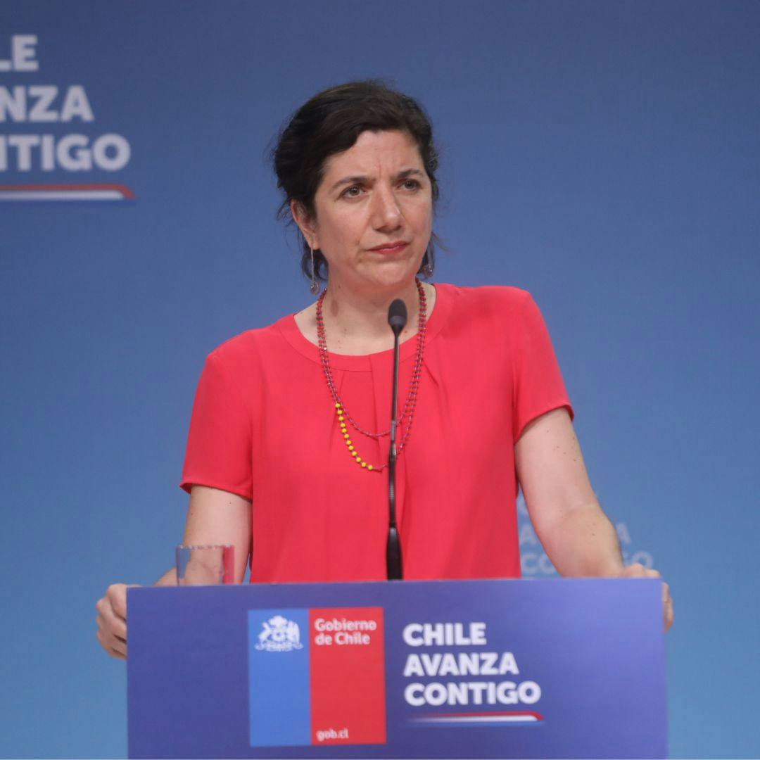 El perfil de la nueva vocera de gobierno, Aisén Etcheverry