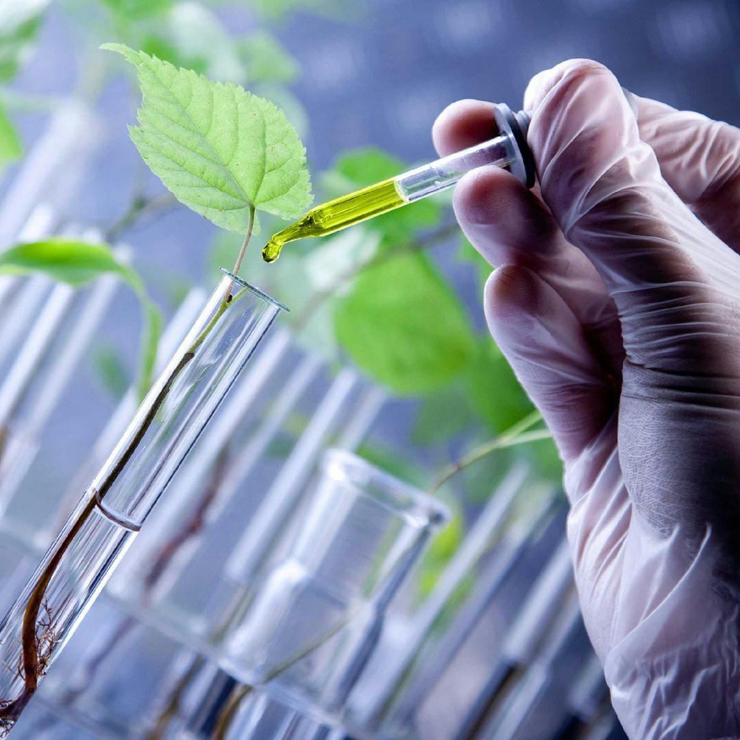 La futorología científica de cara a 2025