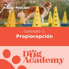 Concepto 1: Propiocepción