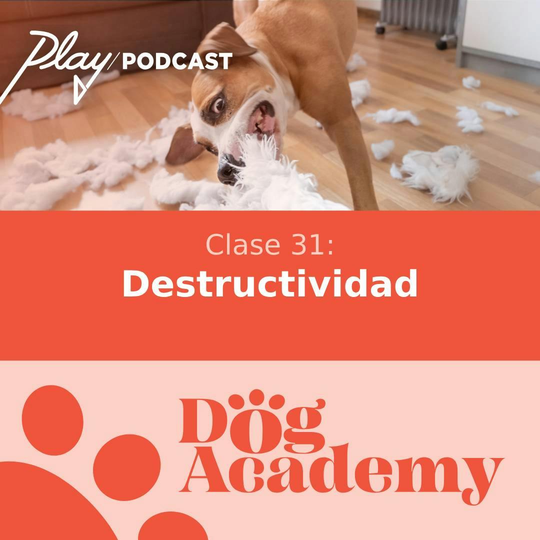 Clase 31: Destructividad