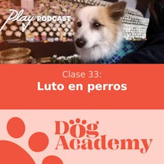 Clase 33: Luto en perros