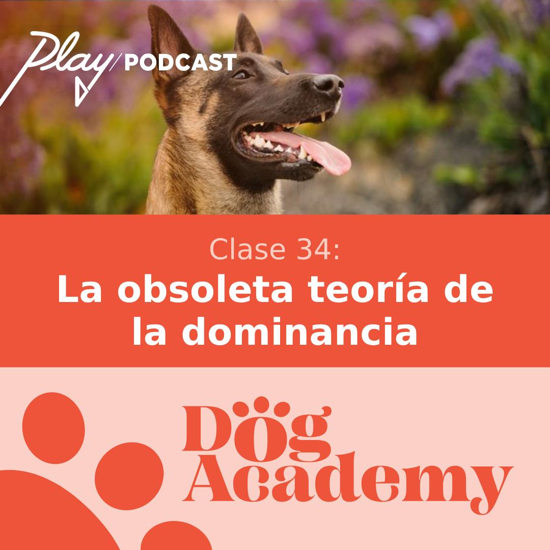 Clase 34: La obsoleta teoría de la dominancia