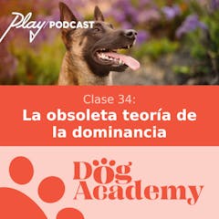 Clase 34: La obsoleta teoría de la dominancia