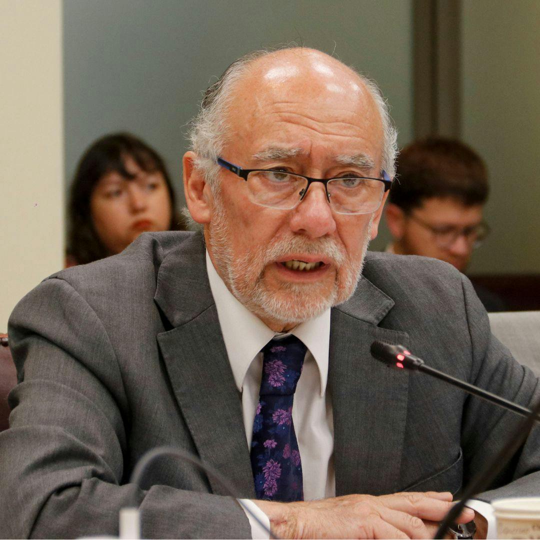 Senador Flores (DC): Pareciera ser que lo único que puede unir a la centro izquierda es Bachelet