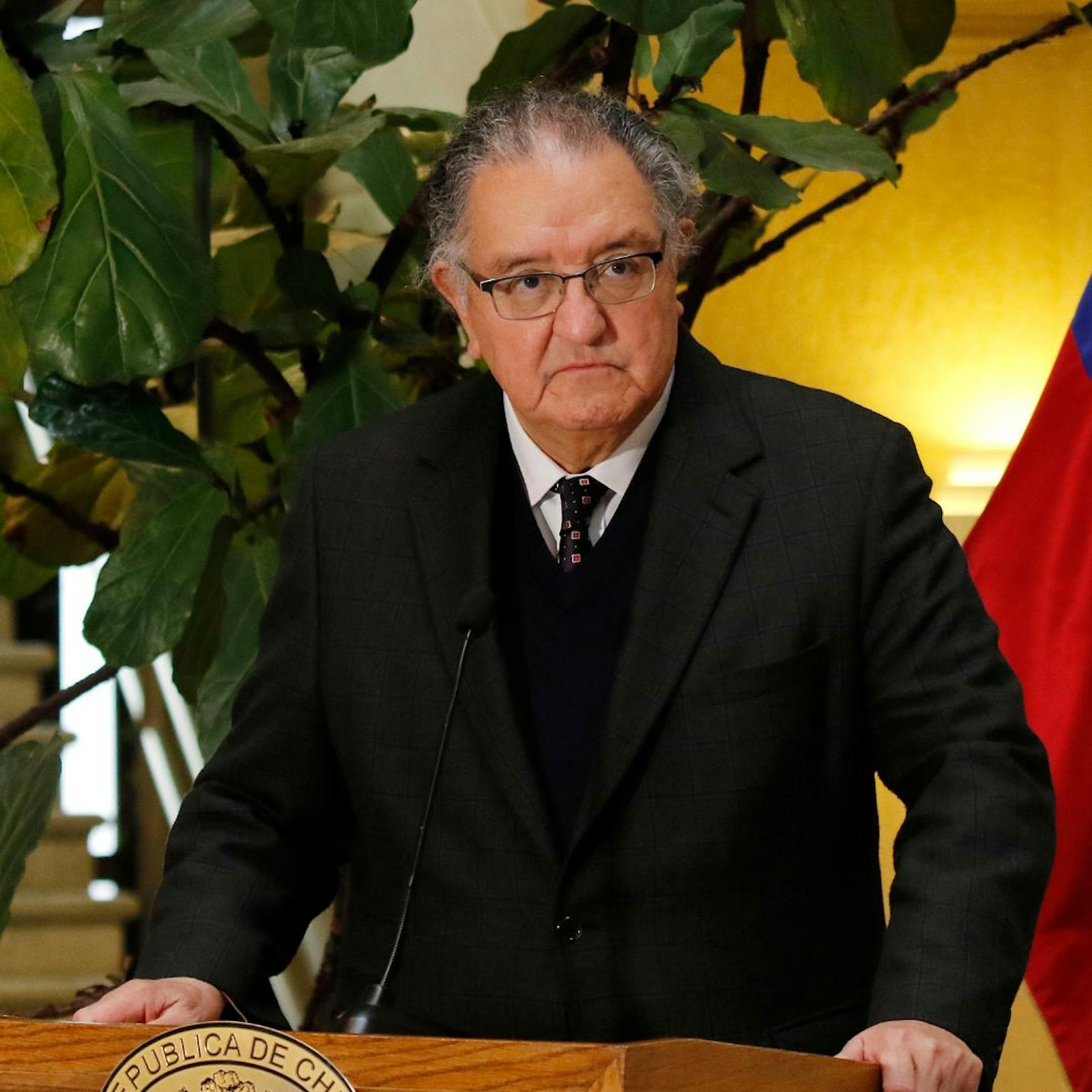 Senador Huenchumilla por dichos de Tohá sobre incendios en La Araucanía: "A un sector lo está criminalizando" episode artwork