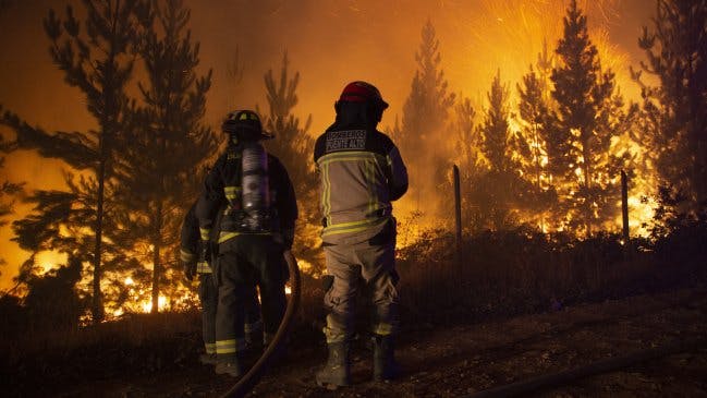 Directora de Conaf: "Intencionalidad de los incendios subió un 28% este año"