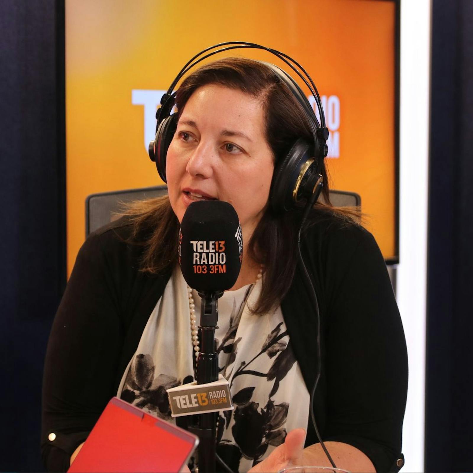 Vodanovic (PS) por allanamiento a diputada Cariola: “Es un descriterio total, se pudo haber esperado un mejor momento” episode artwork