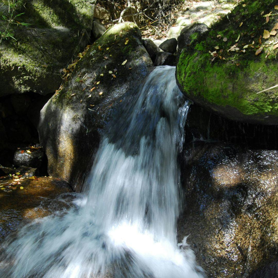 Vacaciones en Parque Peumayen Tenglo