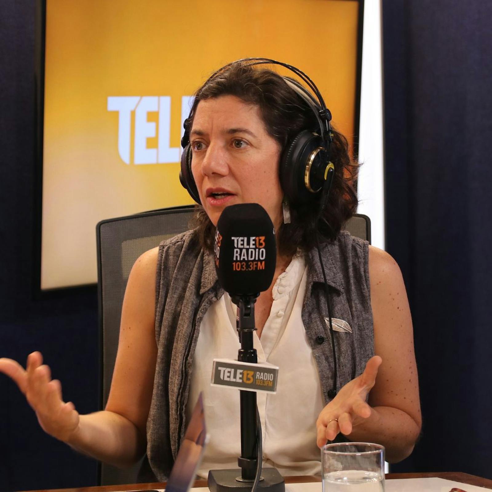 Ministra Etcheverry: “A Miguel Crispi se le asignaron responsabilidades independiente de si estaba involucrado o no” episode artwork