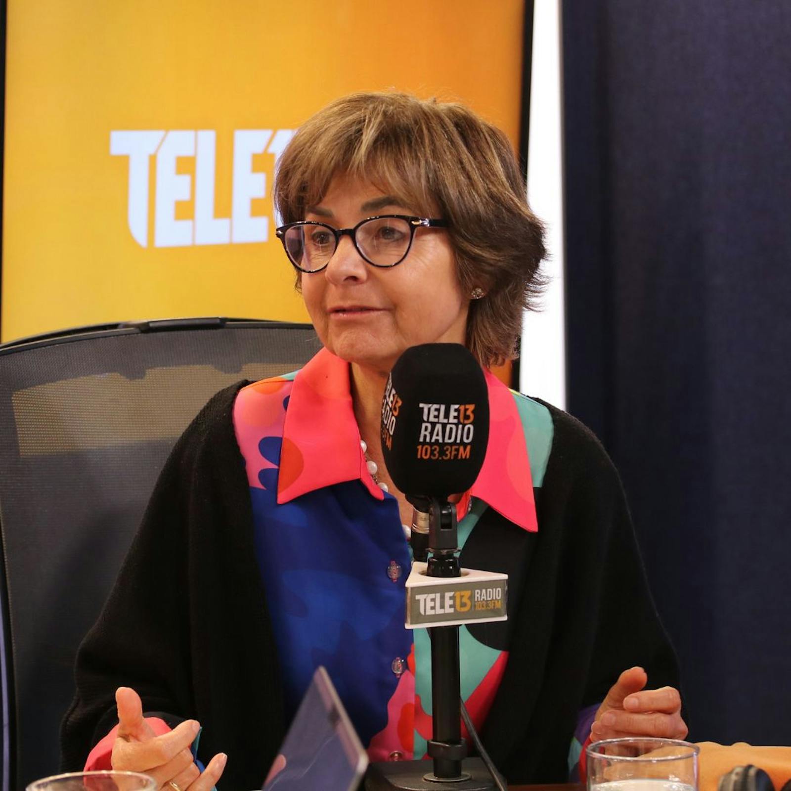 Paula Daza por Evelyn Matthei: “Es tremendamente dura y clara en los temas ortodoxos de seguridad” episode artwork