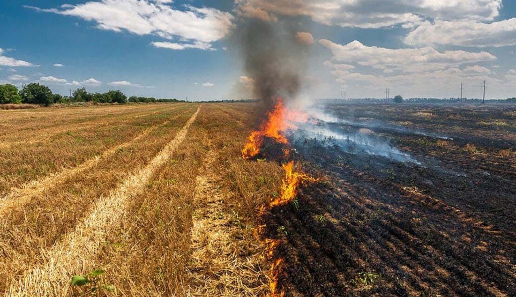 Directora ejecutiva de Conaf: "En las quemas ilegales, hay personas que prenden el fuego y se van"