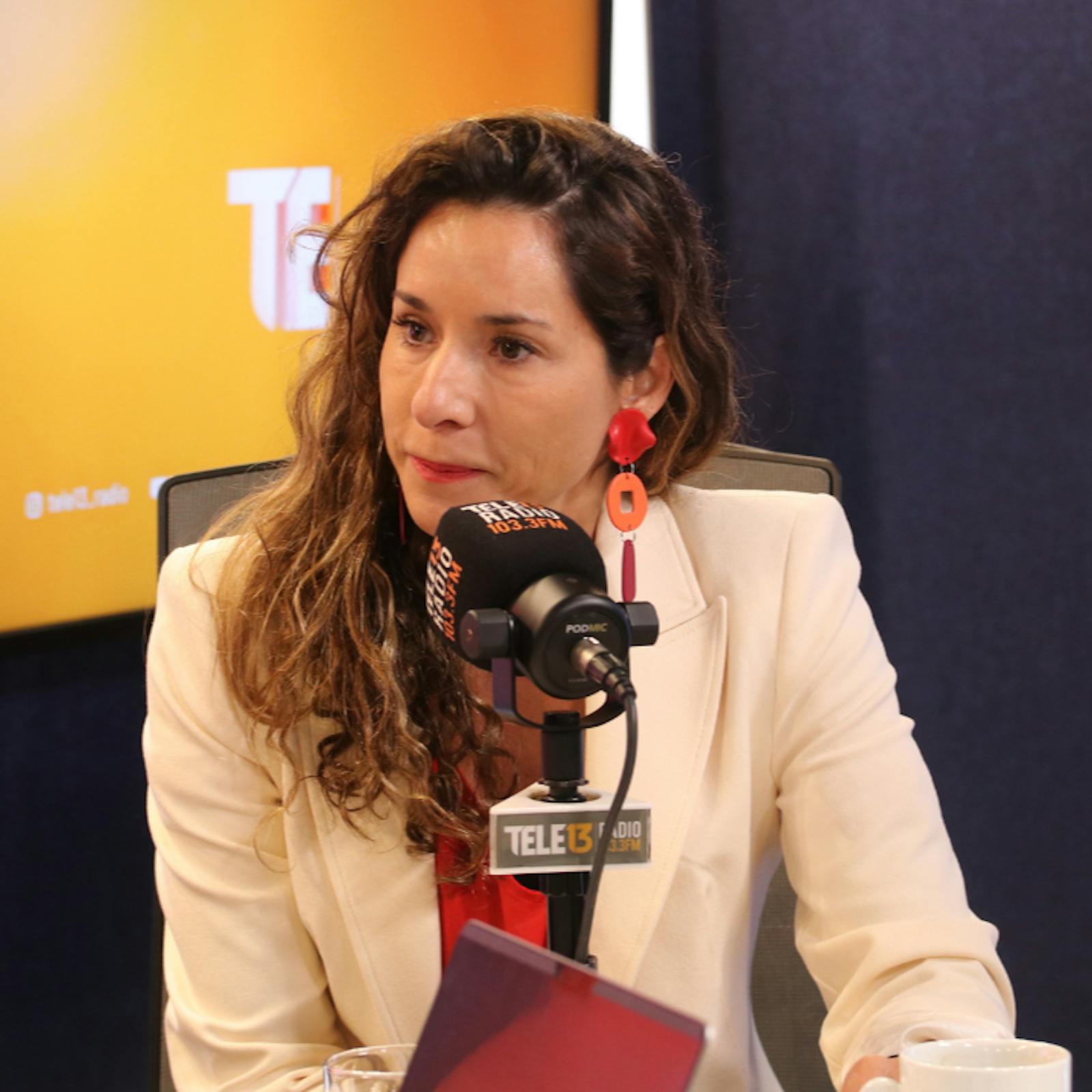 Pdta. Asociación de AFP por reforma de pensiones: "Hoy la foto queda muy bien para el corto plazo, pero quedaron riesgos y puertas abiertas” episode artwork