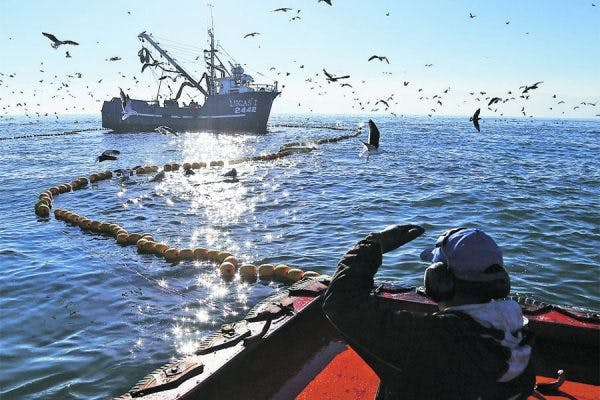 Subsecretario de Pesca: "La distribución que existe actualmente es una distribución injusta"