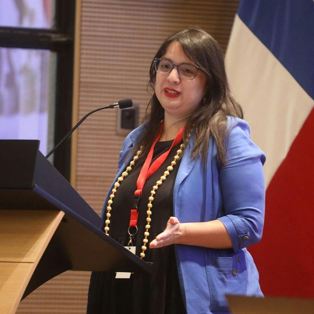 La polémica presentación del Informe de Finanzas Públicas en el Senado